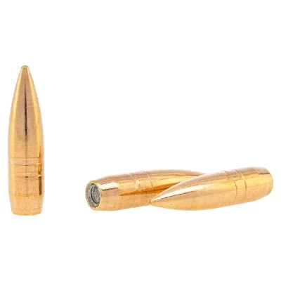 pulya-7-62h51-fmj-10-9g-latun-bpz